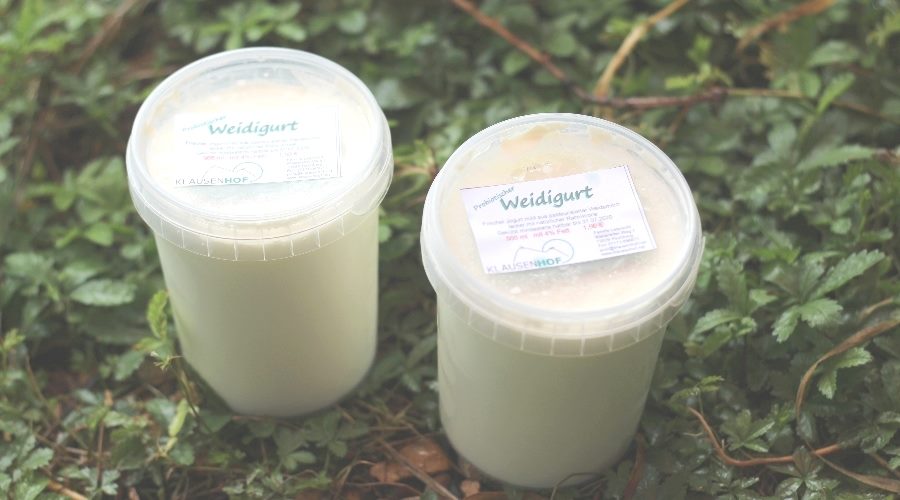 Frischer Joghurt aus Weidemilch